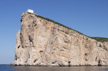 Sardunya, capo caccia