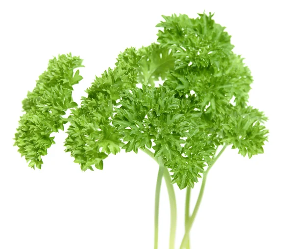 Small bunch of curly parsley leaves, isolated — Stock Photo, Image