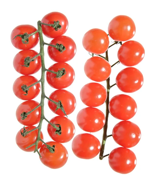 Świeże pomidory na winorośli, na białym tle — Zdjęcie stockowe