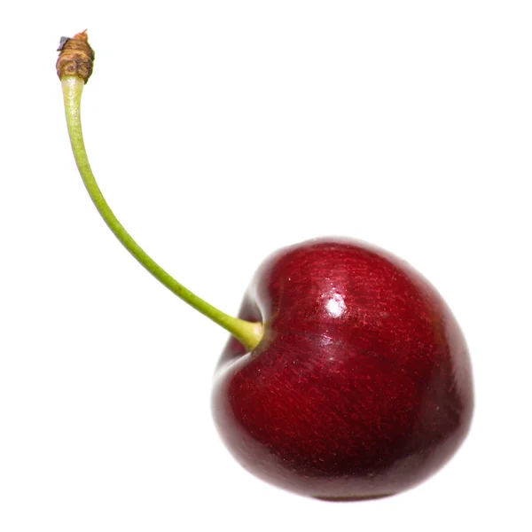 Single cherry isolerad på vit — Stockfoto