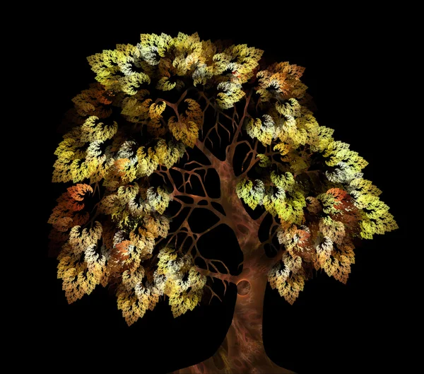 Árbol de otoño (combinación de fractal y dibujo a mano), en negro — Foto de Stock