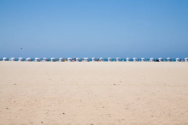 Strand bakgrund — Stockfoto