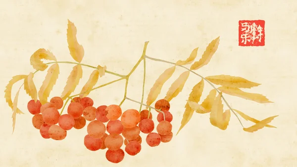 Mountain ash berries e-collage with paper textures — Stock Photo, Image
