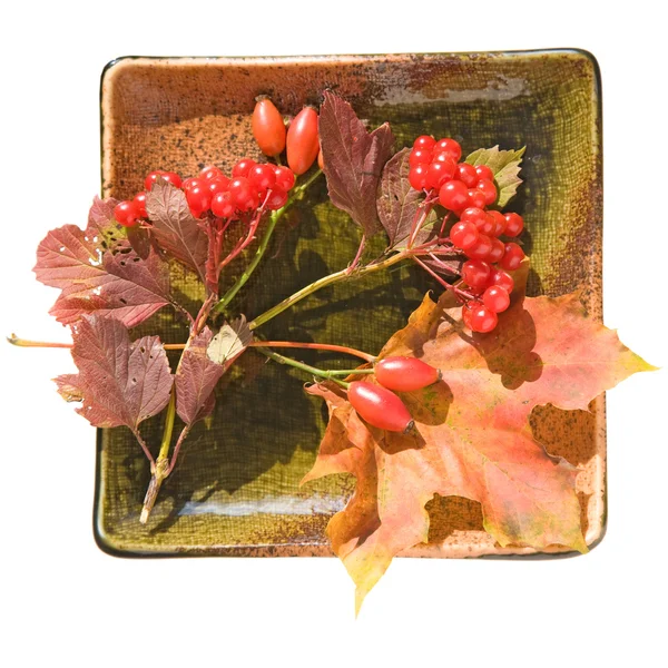 Talerz jesieni — Zdjęcie stockowe