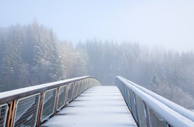 Norway, pedestrian bridge under snow, animal track clipart