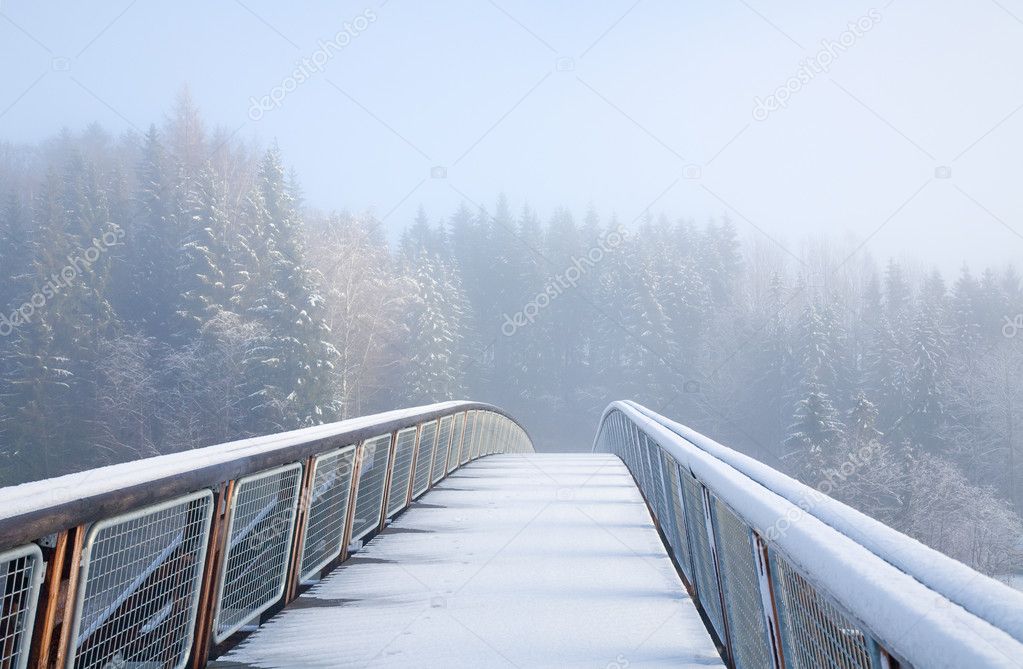 Norway, pedestrian bridge under snow, animal track