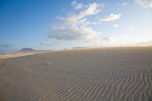 Fuerteventura, Corralejo dune di sabbia parco naturale — Foto Stock