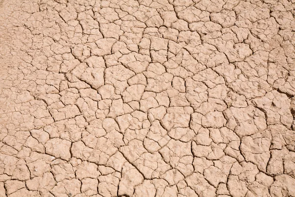 Suché popraskané zeminy pozadí — Stock fotografie