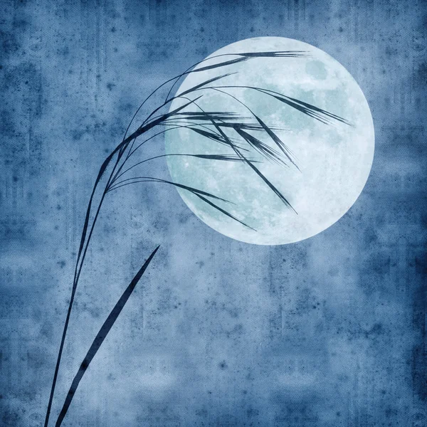 Старий паперовий фон з стеблом трави і повним місяцем — стокове фото