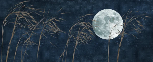 Oud papier achtergrond met gras stengel en volle maan — Stockfoto