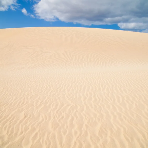 Fuerteventura; Parque natural de dunas de arena de Corralejo — Foto de Stock