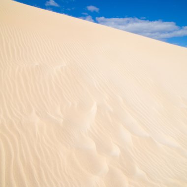 Fuerteventura; Corralejo kum tepeleri doğa parkı