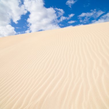 Fuerteventura; Corralejo kum tepeleri doğa parkı