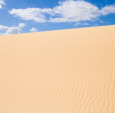 Fuerteventura; Corralejo kum tepeleri doğa parkı