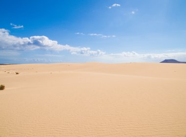 Fuerteventura; Corralejo sand dunes nature park; Montana Roja; clipart