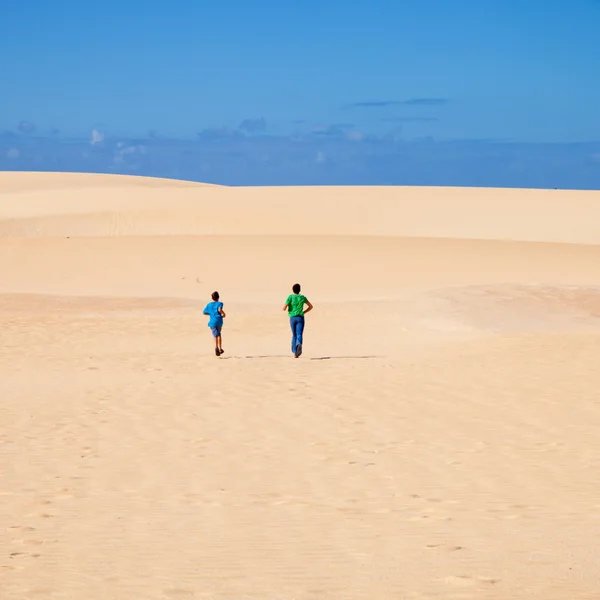 Fuerteventura; Corralejo kum tepeleri doğa parkı — Stok fotoğraf