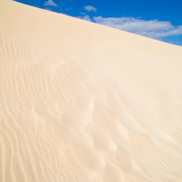 Fuerteventura; Parque natural das dunas de areia do Corralejo — Fotografia de Stock