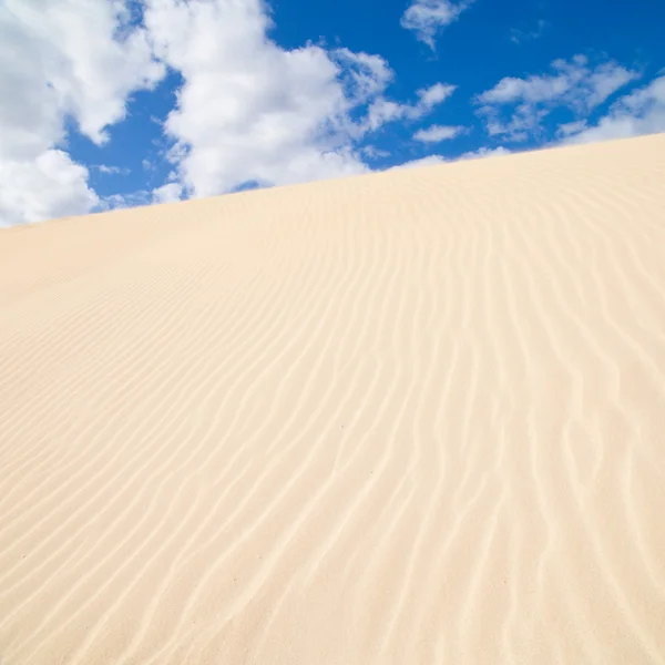 Fuerteventura; Parque natural de dunas de arena de Corralejo —  Fotos de Stock