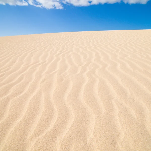 Fuerteventura; Písečné duny Corralejo přírodní park — Stock fotografie