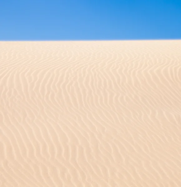 Fuerteventura; Písečné duny Corralejo přírodní park — Stock fotografie