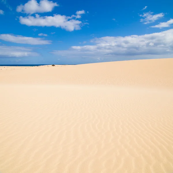 Fuerteventura; Parque natural das dunas de areia do Corralejo — Fotografia de Stock