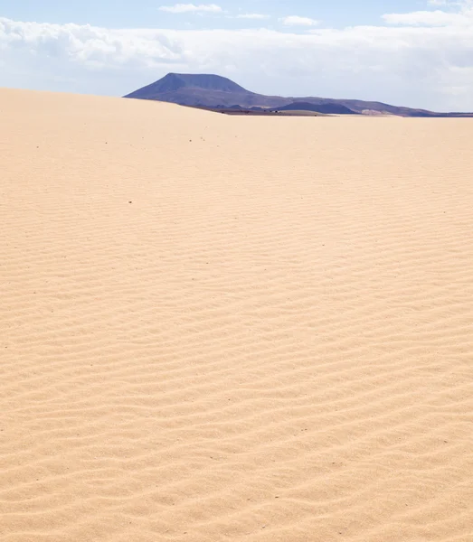 Fuerteventura; Parco naturale delle dune di sabbia di Corralejo; Montana Roja ; — Foto Stock