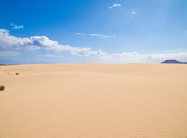 Fuerteventura; písečné duny Corralejo přírodní park; Montana roja; — Stock fotografie
