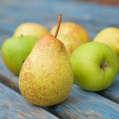 Apples and pears clipart