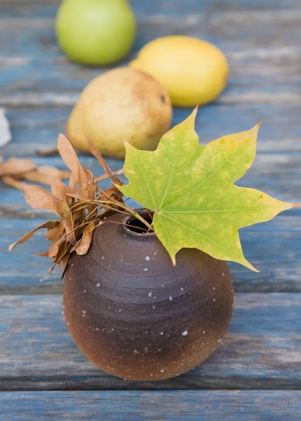 Akçaağaç yaprakları ve tohum ile natürmort — Stok fotoğraf