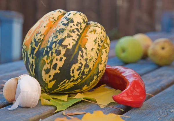 Stilleben med vitlök; peppar; prydnads pumpa; lönn blad och frön — Stockfoto