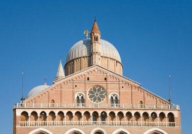 Padua'nın Saint Anthony Bazilikası; Sant'Antonio da Padova; Vene