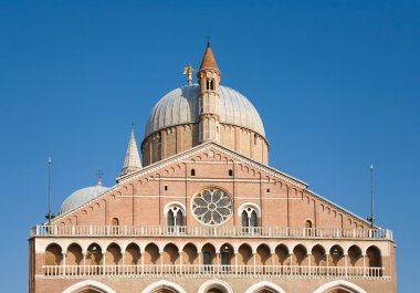 Basilica of Saint Anthony of Padua; Sant'Antonio da Padova; Vene clipart