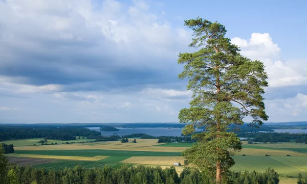 Центральна Фінляндія, Городня краєвид з озером в на distan — стокове фото