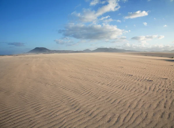 Fuerteventura; Parco naturale delle dune di sabbia di Corralejo — Foto Stock