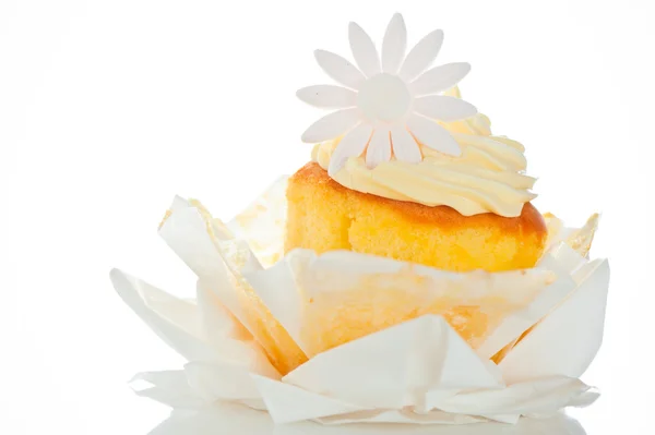Bizcocho con vainilla con crema y azúcar flor en un fondo blanco — Stok fotoğraf