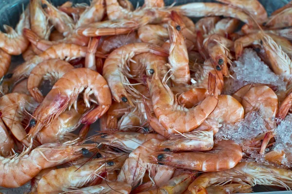 stock image Fresh shrimp on ice