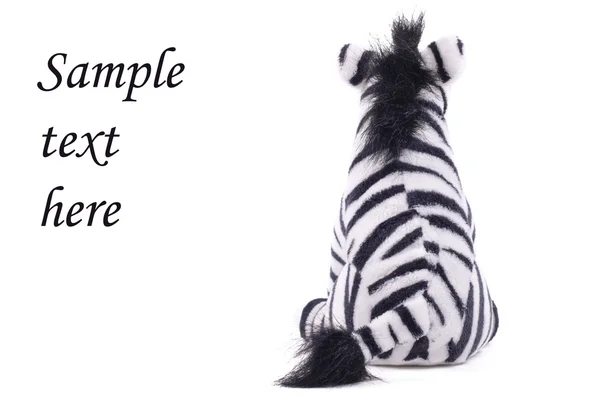 Zebra de brinquedo macio — Fotografia de Stock