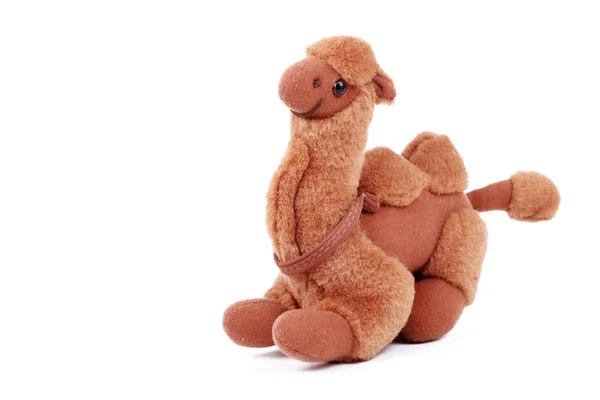 Speelgoed kameel — Stockfoto