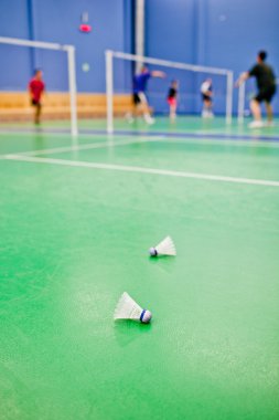 Badminton