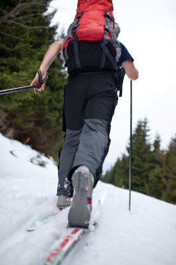 Young man cross-country skiing on a snowy forest trail clipart