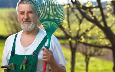 Bahçede Bahçe üst düzey bir adam portresi (Renk tonlu im