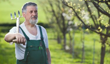 Bahçede Bahçe üst düzey bir adam portresi (Renk tonlu im