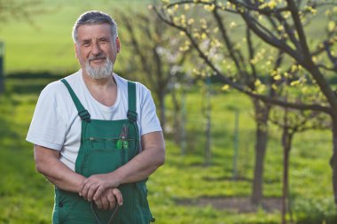 Portrait of a senior man gardening in his garden clipart