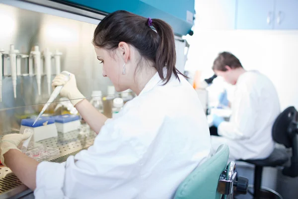 Portret van een vrouwelijke onderzoeker werken in een lab — Stockfoto