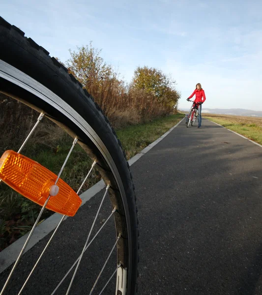 자전거 (이미지 전달 움직임을 흐리게 하는 모션 이며 초점 — 스톡 사진