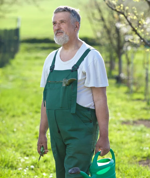 Portret van een senior man in zijn tuin tuinieren — Stockfoto