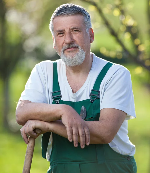 Portret van een tuinman in een tuin — Stockfoto