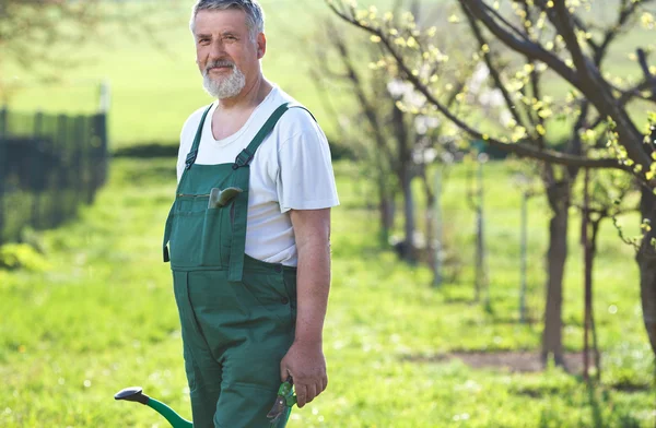 Портрет старшого чоловіка садівництва в своєму саду — стокове фото