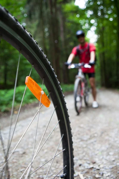 Ciclismo de montaña en un bosque - ciclistas en una pista de ciclismo forestal (s) — Foto de Stock