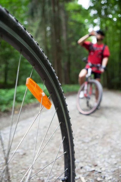 Montanha de bicicleta em uma floresta - motociclistas em uma trilha de bicicleta de floresta (s) — Fotografia de Stock
